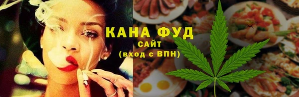 ГАЛЛЮЦИНОГЕННЫЕ ГРИБЫ Лагань