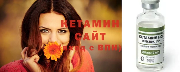 ГАЛЛЮЦИНОГЕННЫЕ ГРИБЫ Лагань