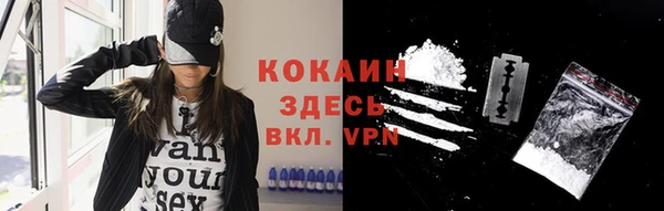 ГАЛЛЮЦИНОГЕННЫЕ ГРИБЫ Лагань