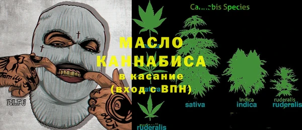 ГАЛЛЮЦИНОГЕННЫЕ ГРИБЫ Лагань