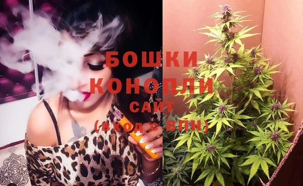 ГАЛЛЮЦИНОГЕННЫЕ ГРИБЫ Лагань