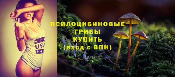 ГАЛЛЮЦИНОГЕННЫЕ ГРИБЫ Лагань