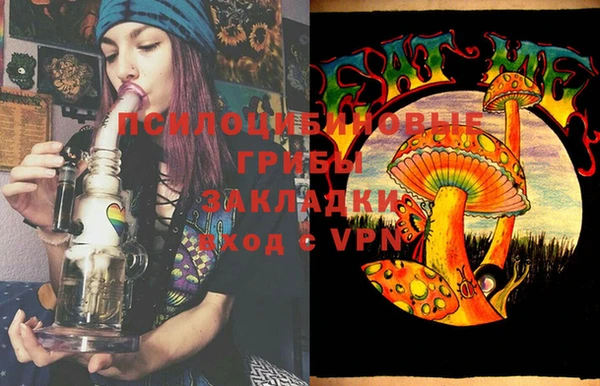ГАЛЛЮЦИНОГЕННЫЕ ГРИБЫ Лагань