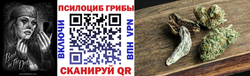 Галлюциногенные грибы Cubensis  Купить  Сызрань 